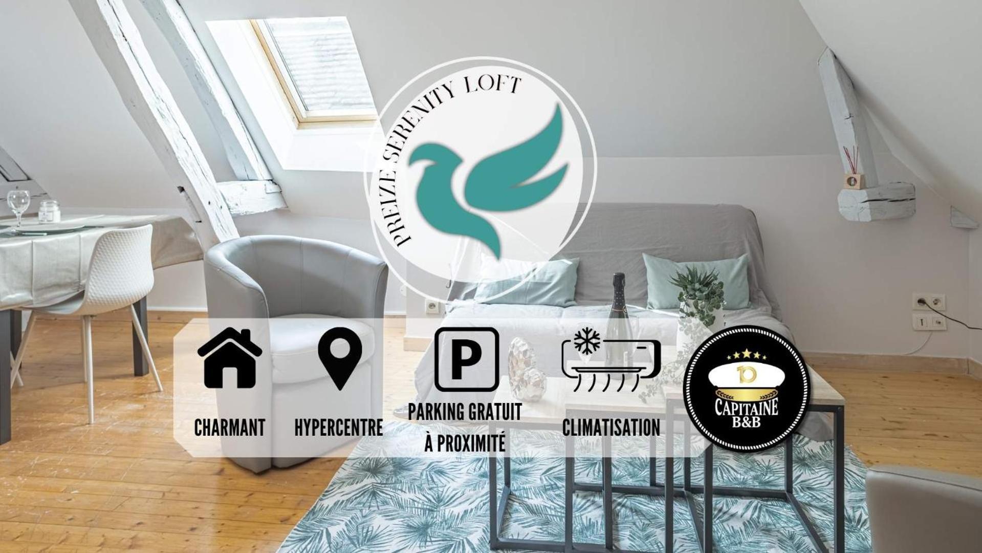 Apartment Preize Serenity Loft - Hypercentre - 2 Pers. Troyes