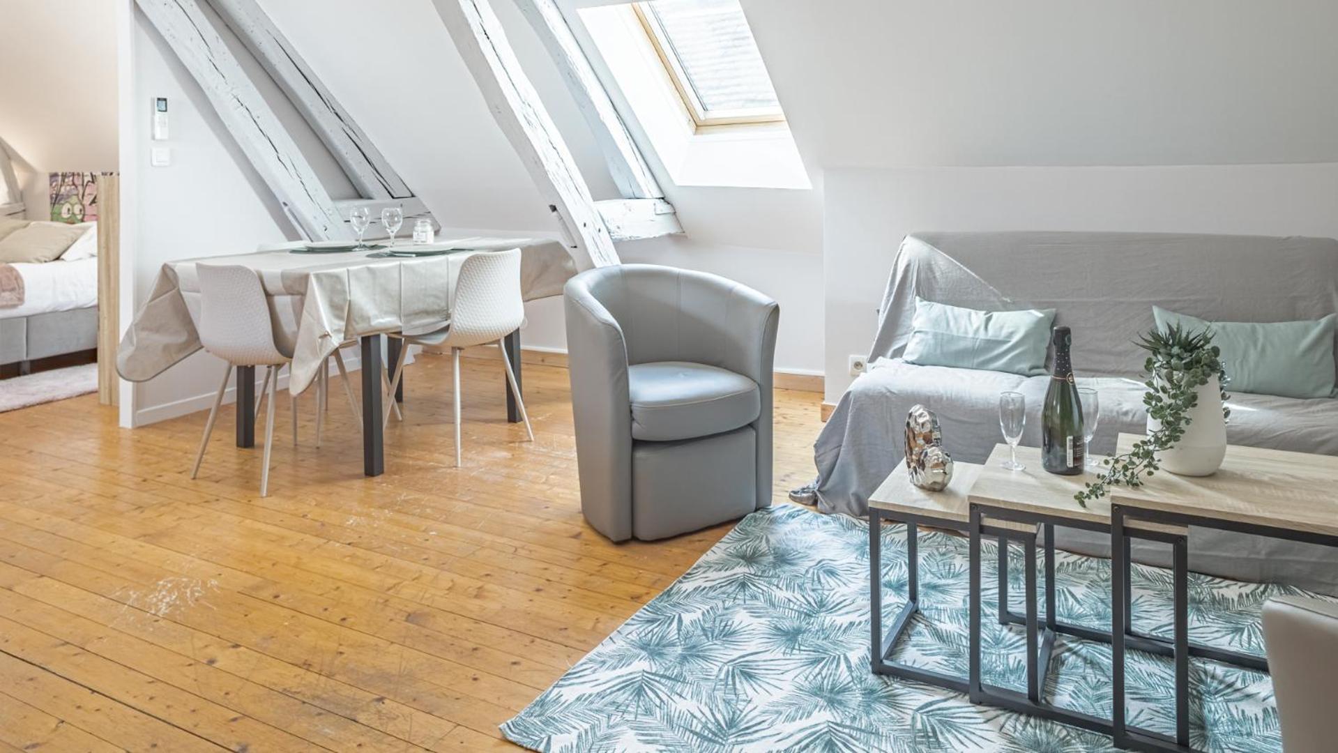 Apartment Preize Serenity Loft - Hypercentre - 2 Pers. Troyes